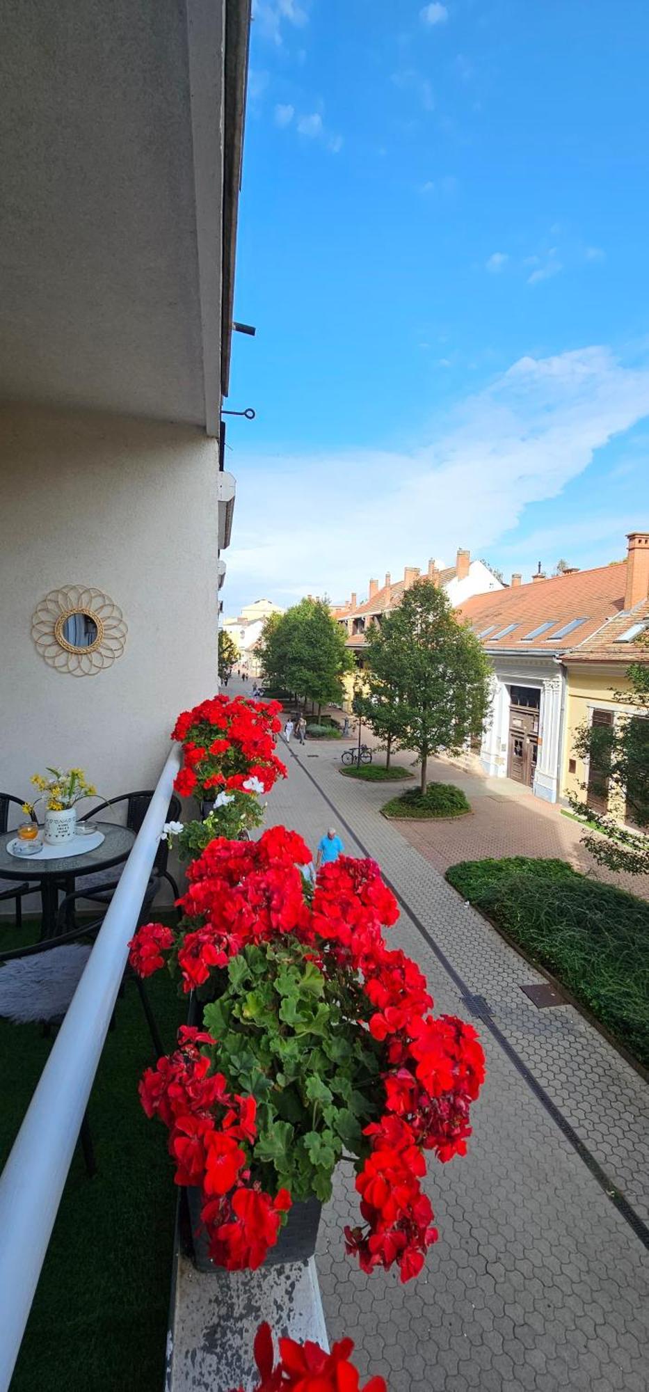 Anna Gyoengye Apartman Debrecín Exteriér fotografie